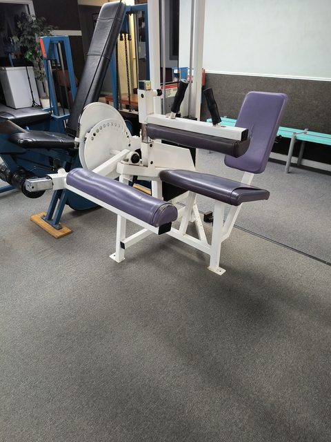 The leg curl machine at the gym
